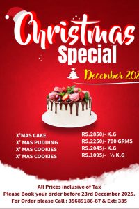 Special Christmas Cake