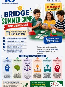 Bridge Summer Camp